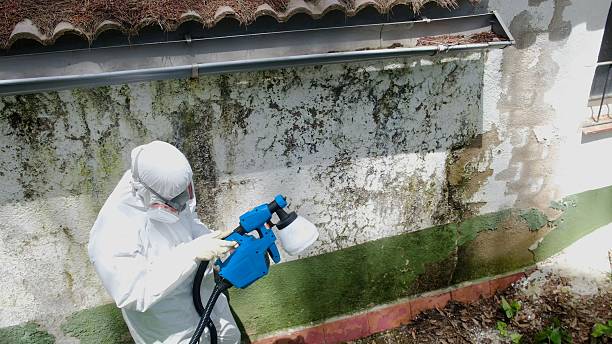 Trusted Crawl Space Mold Removal service in Austin, TX - Cheap Mold Removal